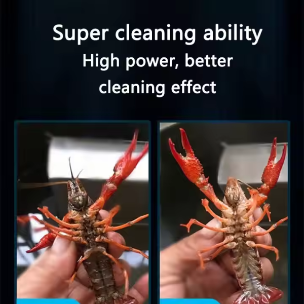 5db89a0ad589e51371a39b4a6958049a